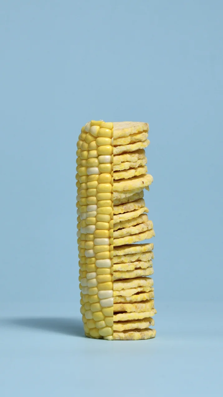 Ligerittas